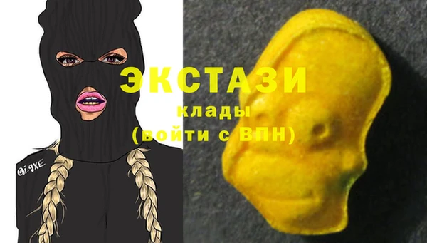 стаф Новодвинск