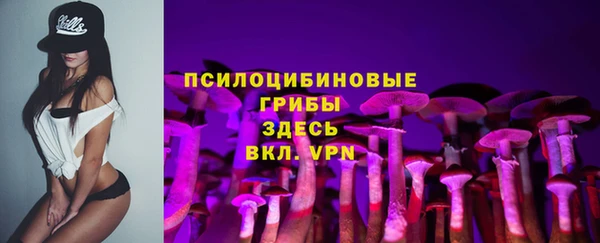 spice Кинешма
