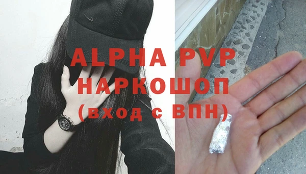 стаф Ачинск