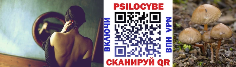 купить   Кондопога  Псилоцибиновые грибы мицелий 