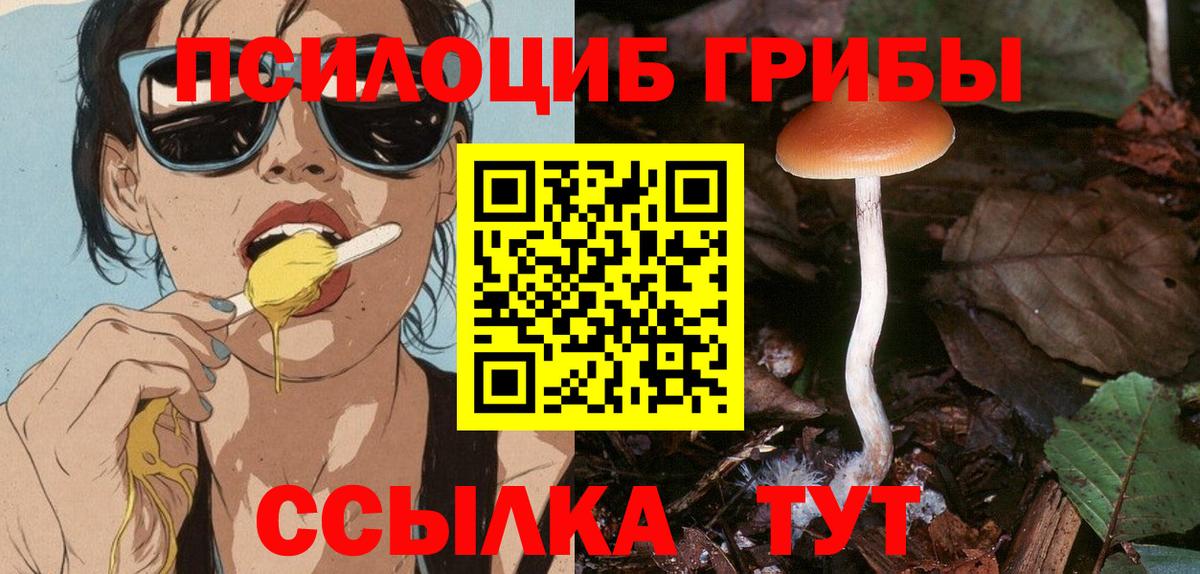 Псилоцибиновые грибы ЛСД Кондопога