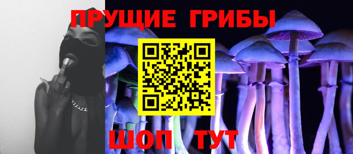 Кондопога  Галлюциногенные грибы Magic Shrooms  Вход с VPN 