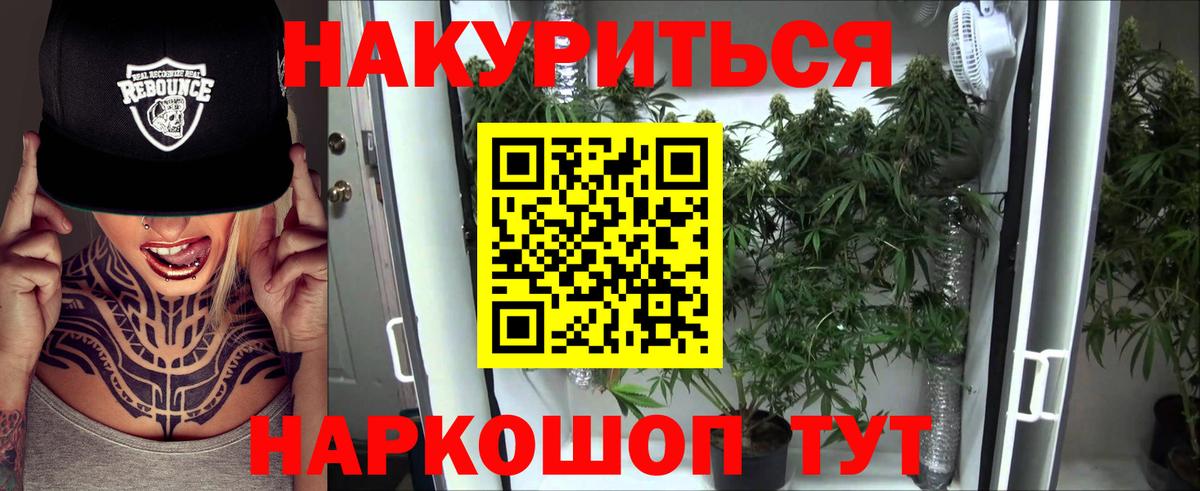 Каннабис OG Kush Кондопога